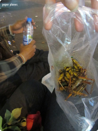 Eating Bugs in Bangkok