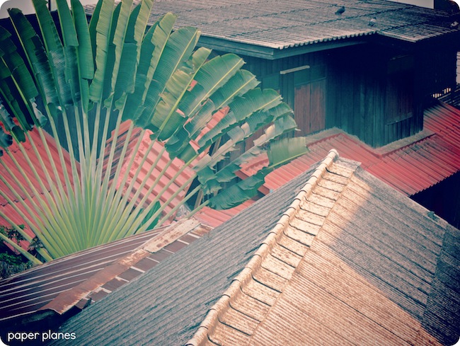 Thai Rooftops
