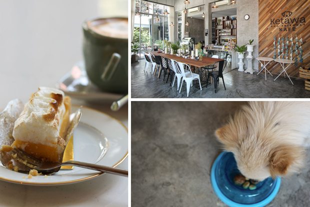 Best Cafes in Chiang Mai - Ketawa Dog Friendly Cafe