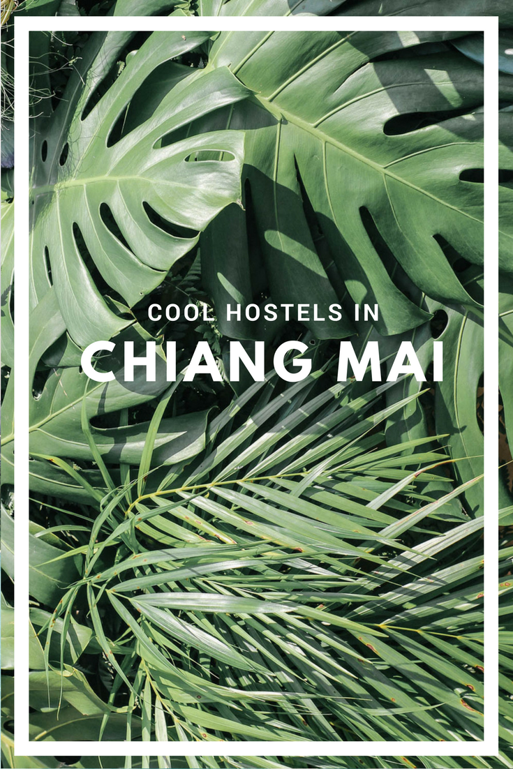 Cool Hostels in Chiang Mai
