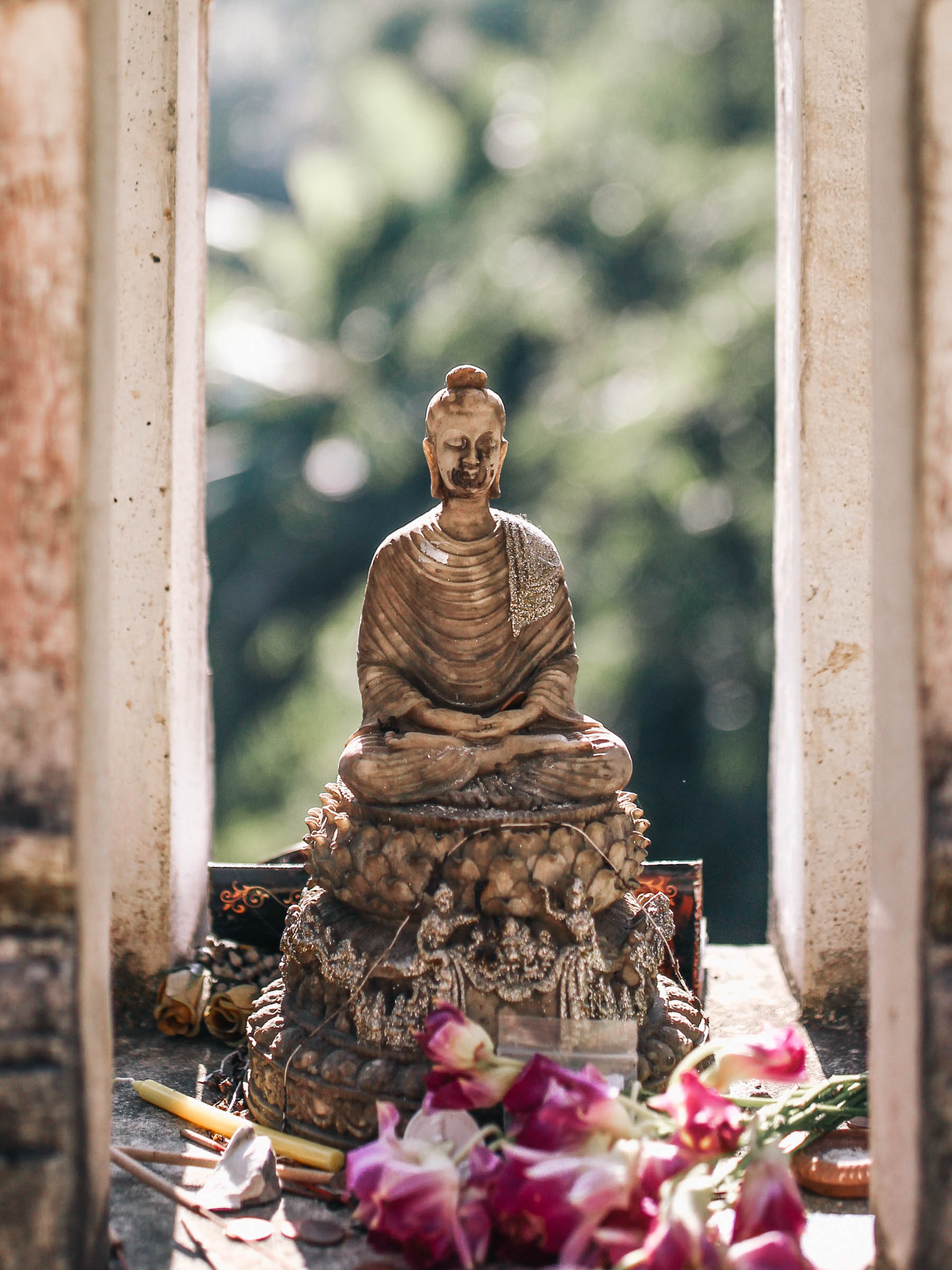 50 (Alnost) Free Things to Do in Chiang Mai: Meditation in Chiang Mai